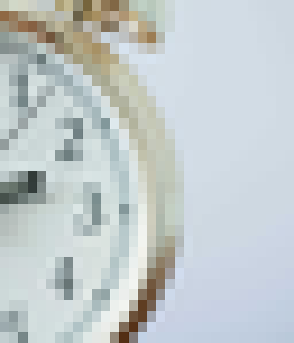 you are NOT ready for this one