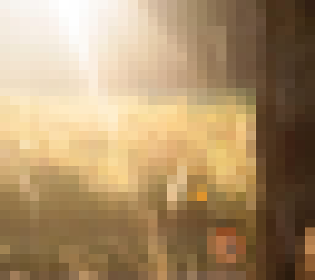 you are NOT ready for this one