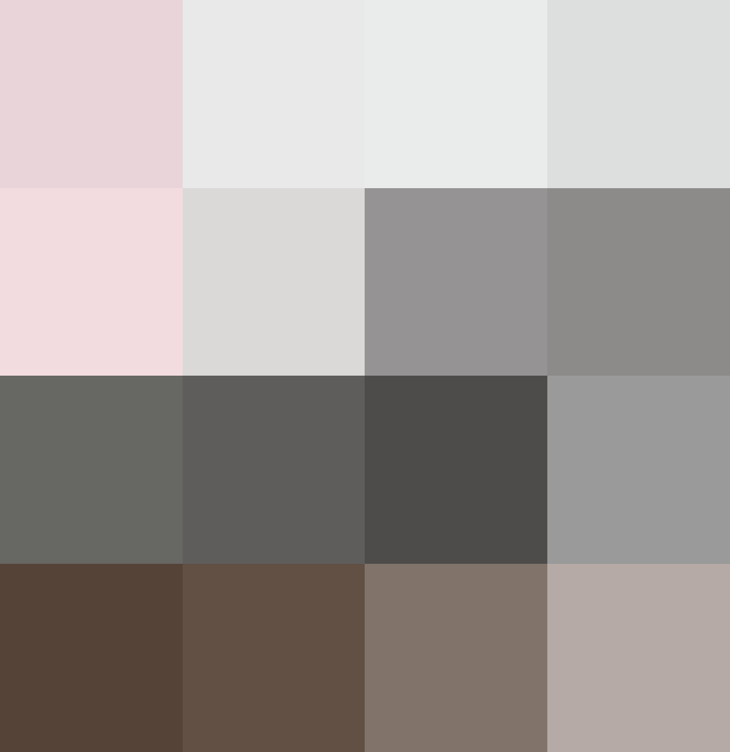 hiking at sunset, just as the sky is about to get moody #reveal #nature