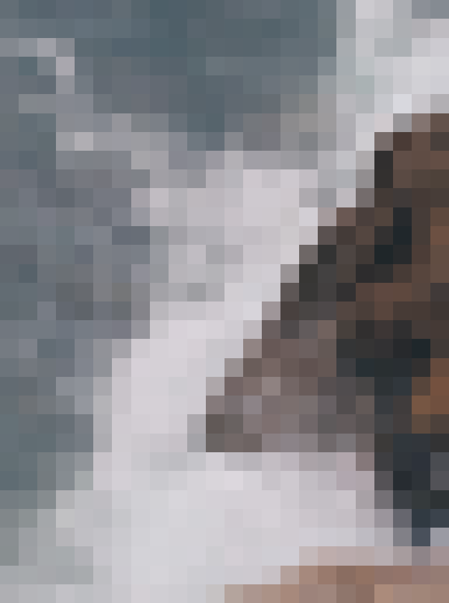 something's been hiding in plain sight... #mystery #revealy #teaser #golden