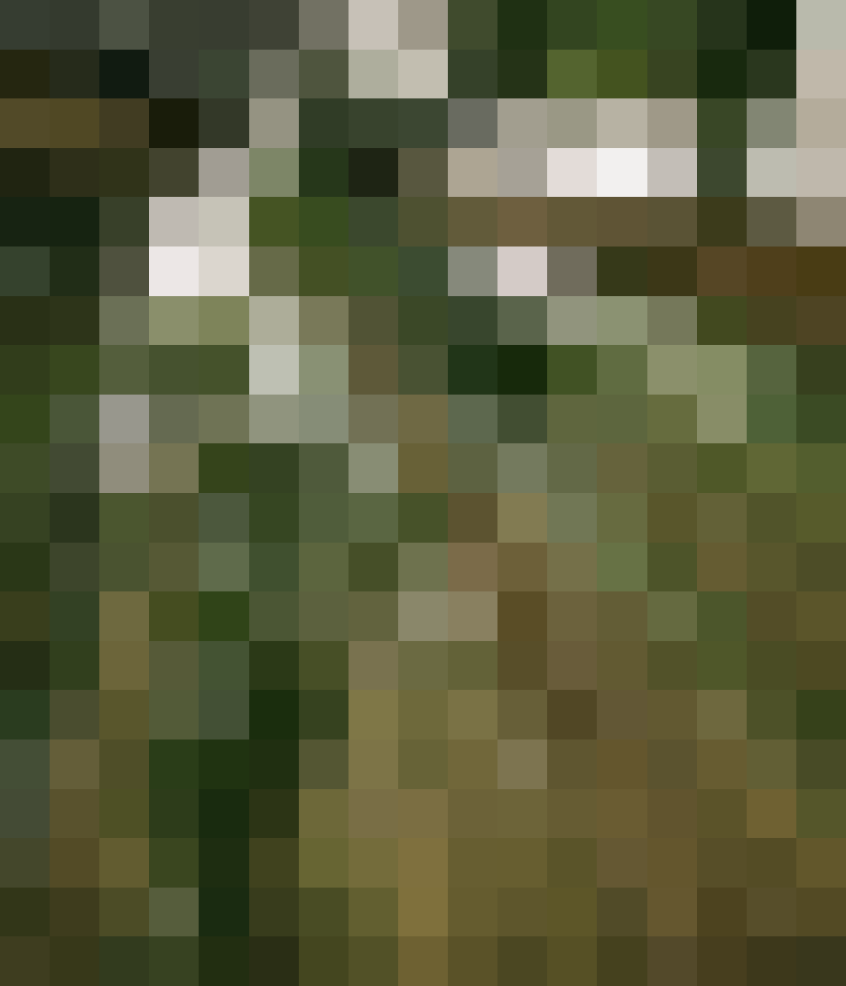 new art piece, slowly revealing its true colors #blurry #pixelart #slowreveal
