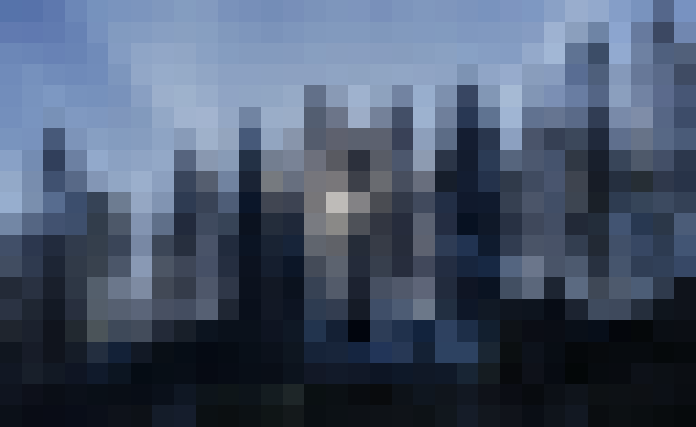 capturing the moments that hide in plain sight, waiting for the right angle and a dash of magic #nature #blurry #hidden