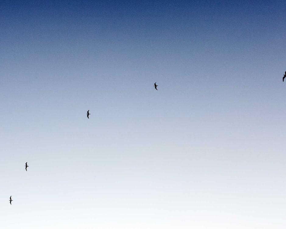 "just a glimpse of my morning routine" #minimal #teaser