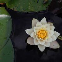 photoexplorer_88