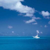 iris_watcher2532