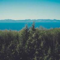 vivid_vista