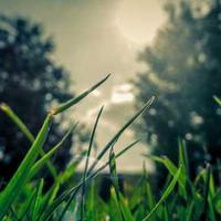 petra_photography