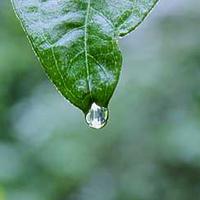bokeh_soul5852