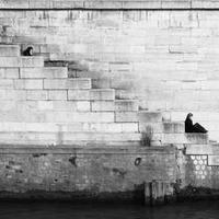 Liam Lee